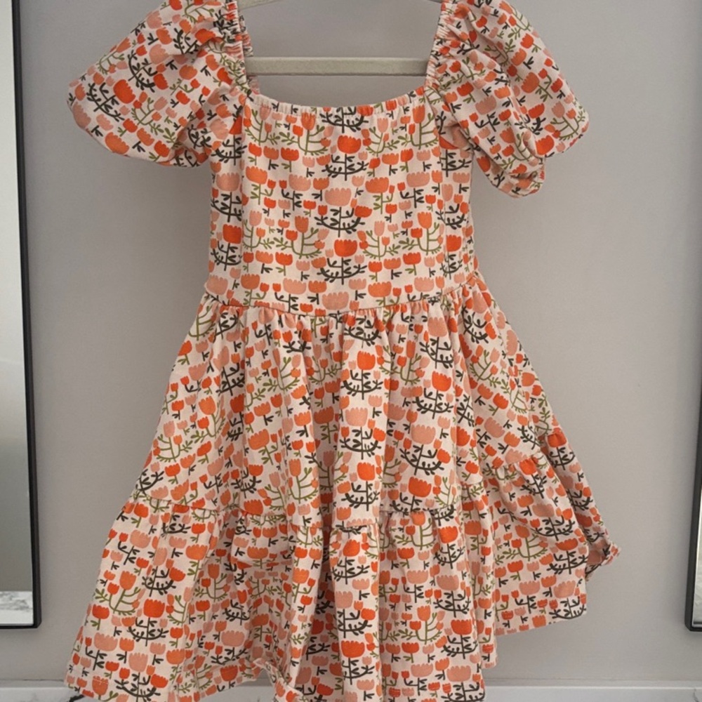 Alice and Ames Floral Kids Dress with Puff Sleeves